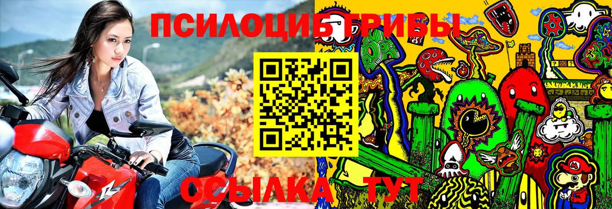 Псилоцибиновые грибы прущие грибы Ессентуки